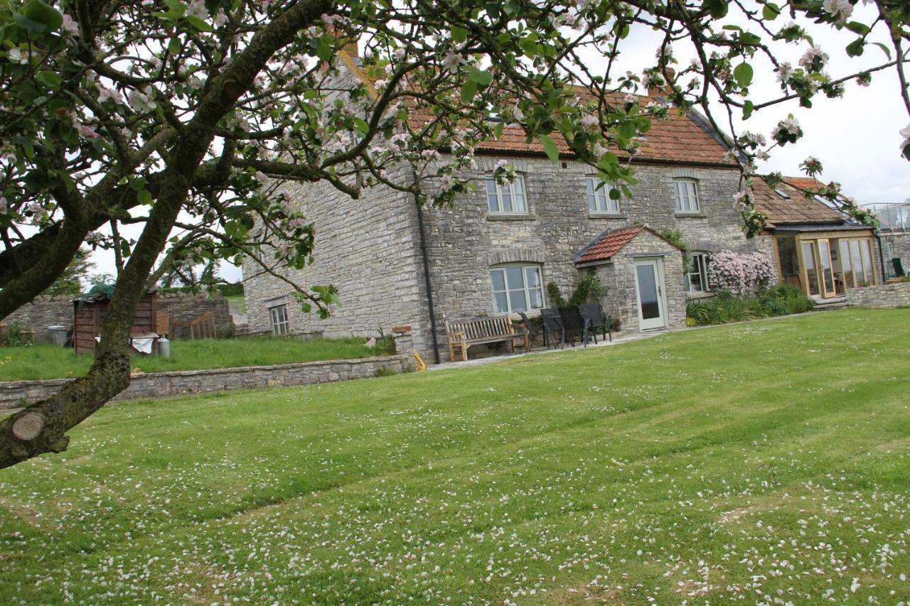 Castle Farm Wedmore Exterior photo
